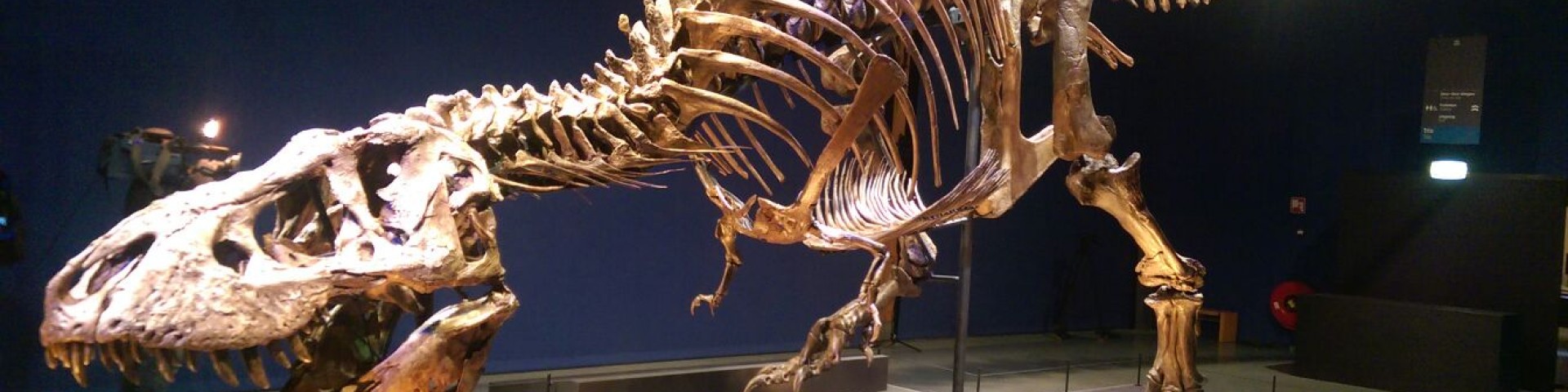 Naturalis