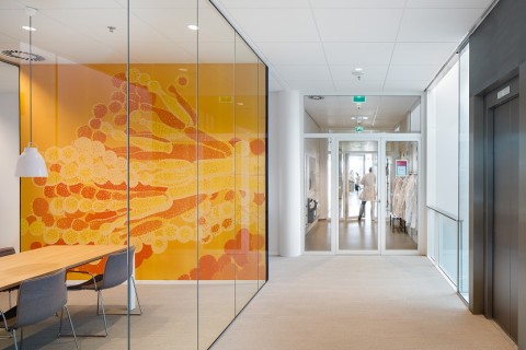 DSM Delft